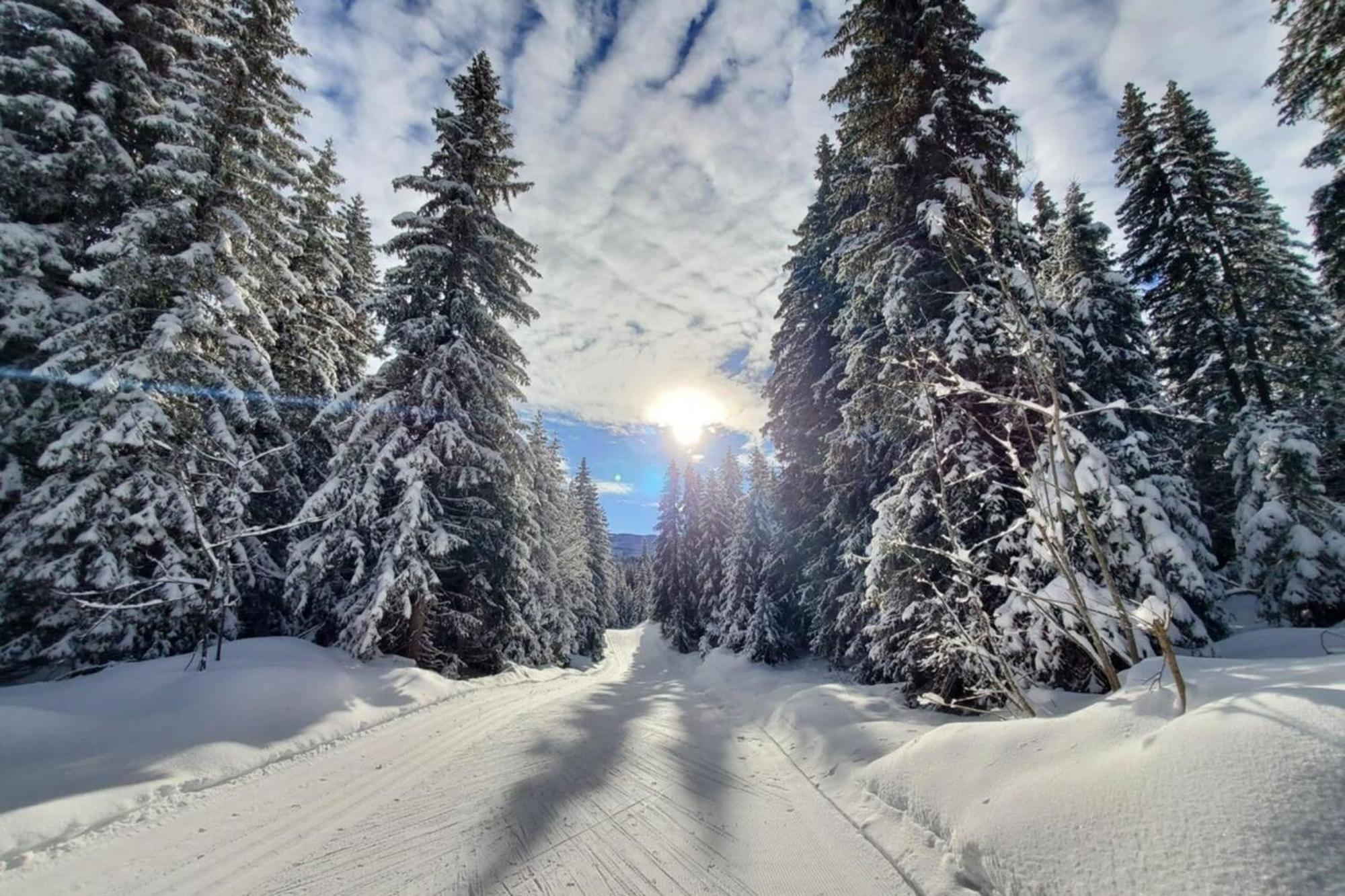 Cozy Apartment "Wapiti" At The Foot Of The Slopes Les Déserts Exteriör bild
